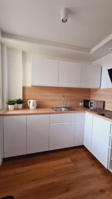 Sloneczny Apartament W Centrum Gdyni 2 Pokojowy グディニャ エクステリア 写真
